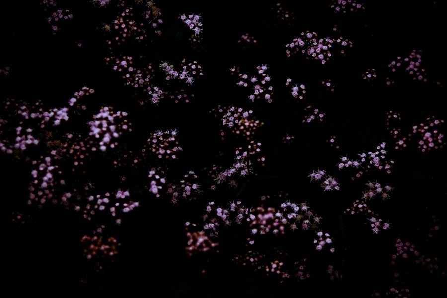 Extracellular Vesicles