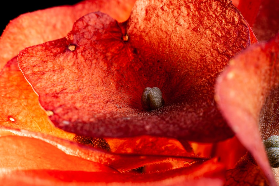 Micro-implantation