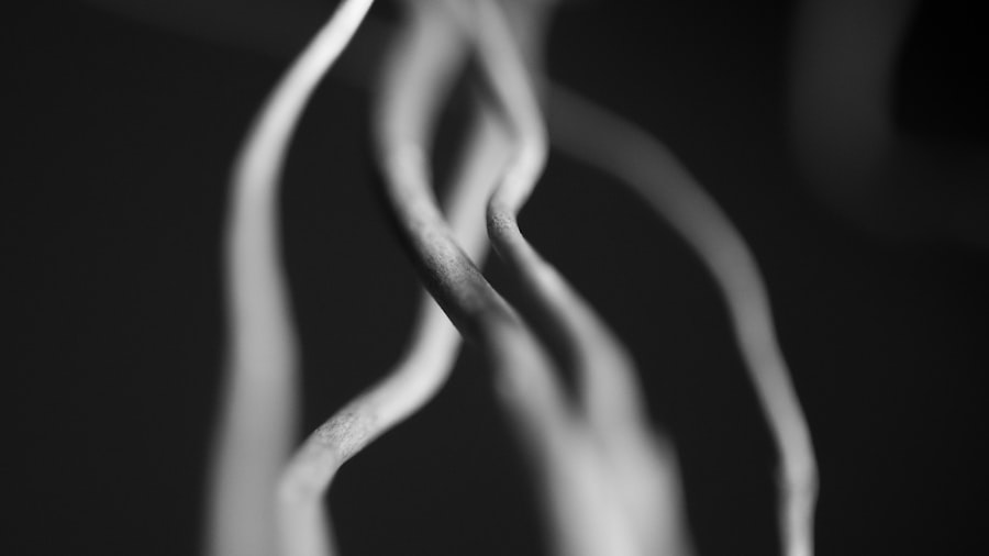 Photo Invisible braces