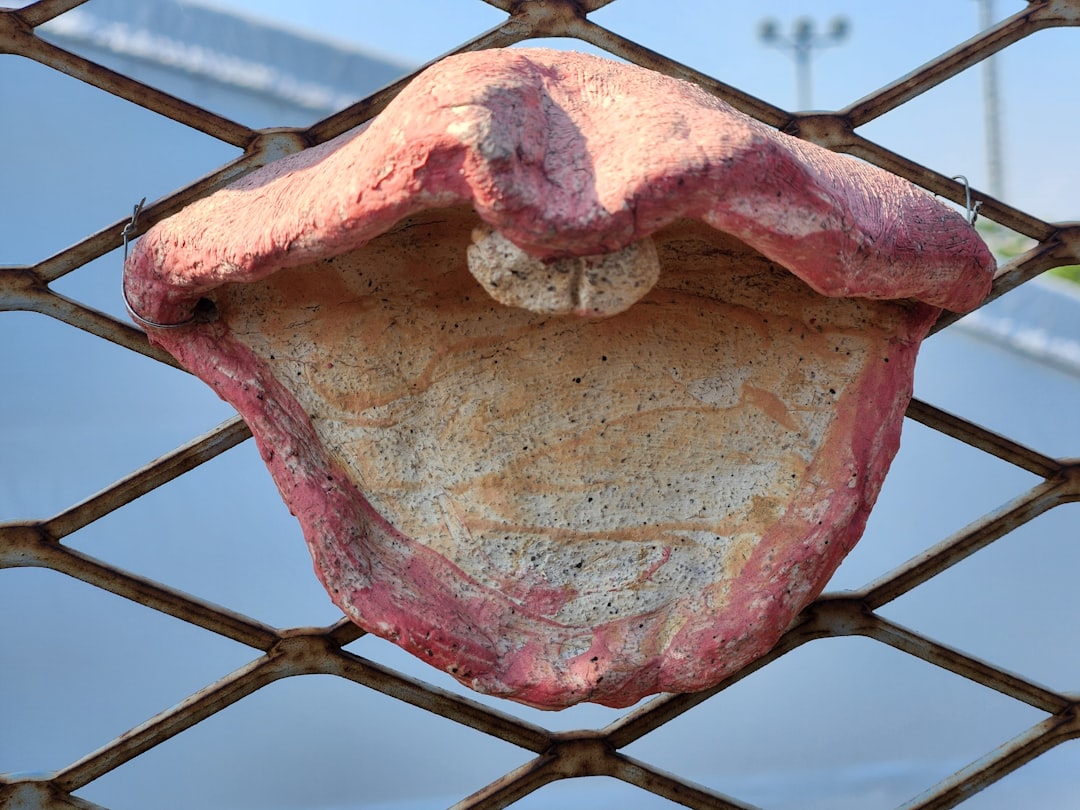 You are currently viewing 【笑容設計】DSD（數位微笑設計）步驟為何？術前模擬重要嗎？