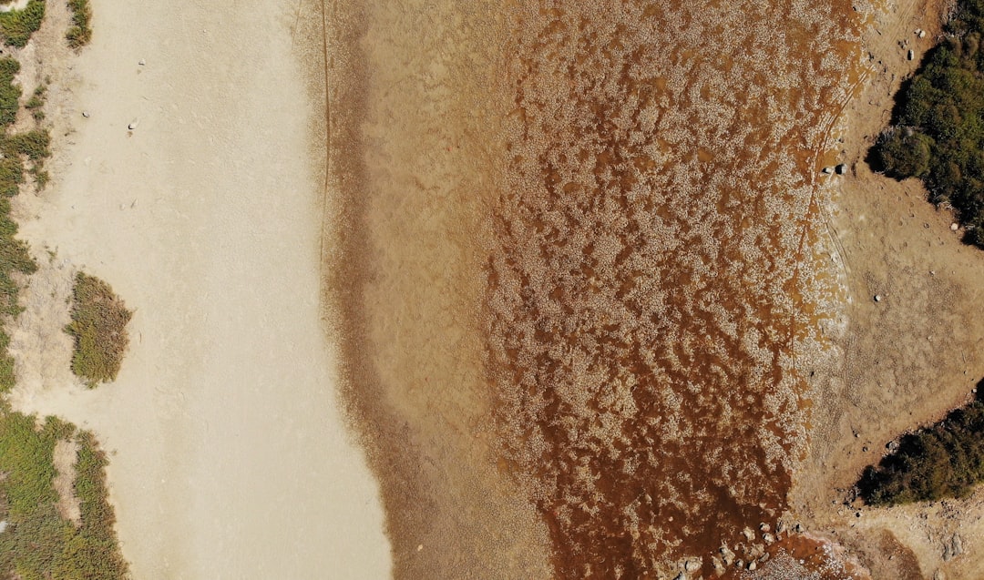 You are currently viewing 【杏仁酸換膚】杏仁酸換膚是什麼？功效、副作用與術後照護詳解