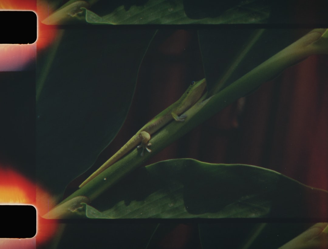 You are currently viewing 【神力拉提】神力拉提介紹：原理、效果與適合對象評估