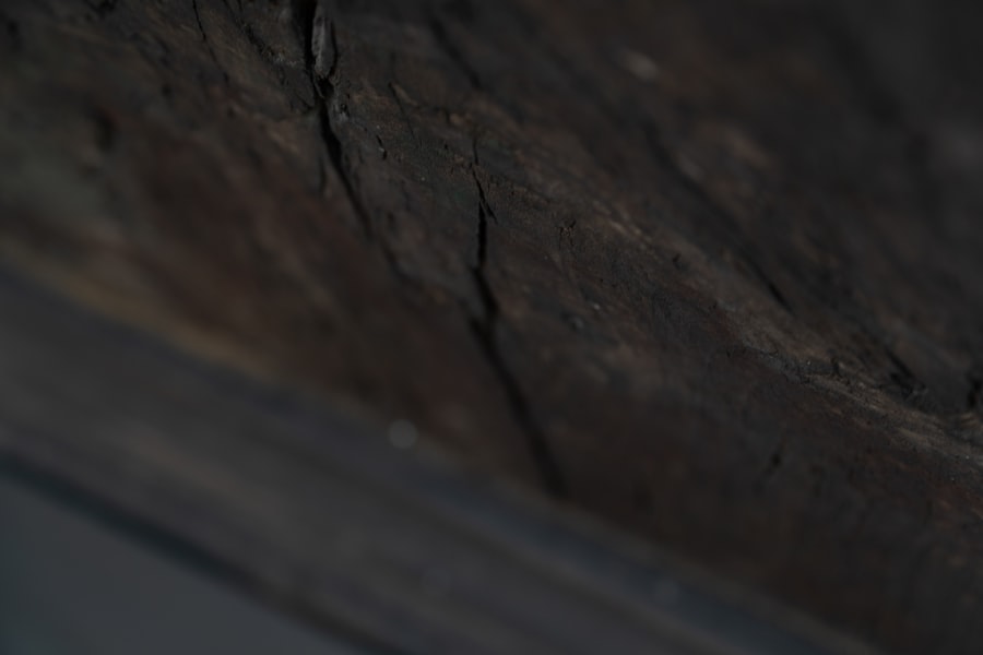 Photo 善纖達價格