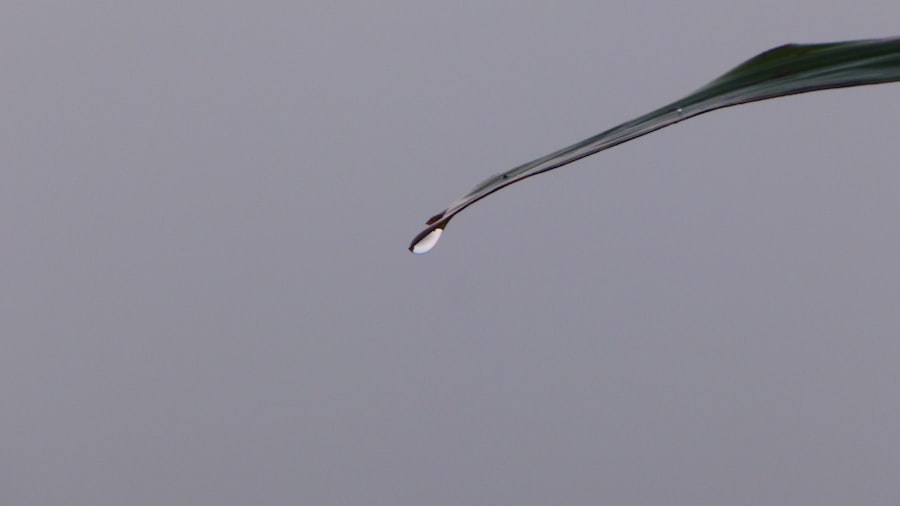 Photo injectable techniques