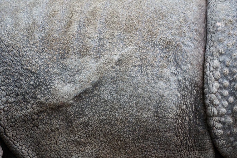 Photo wrinkle removal