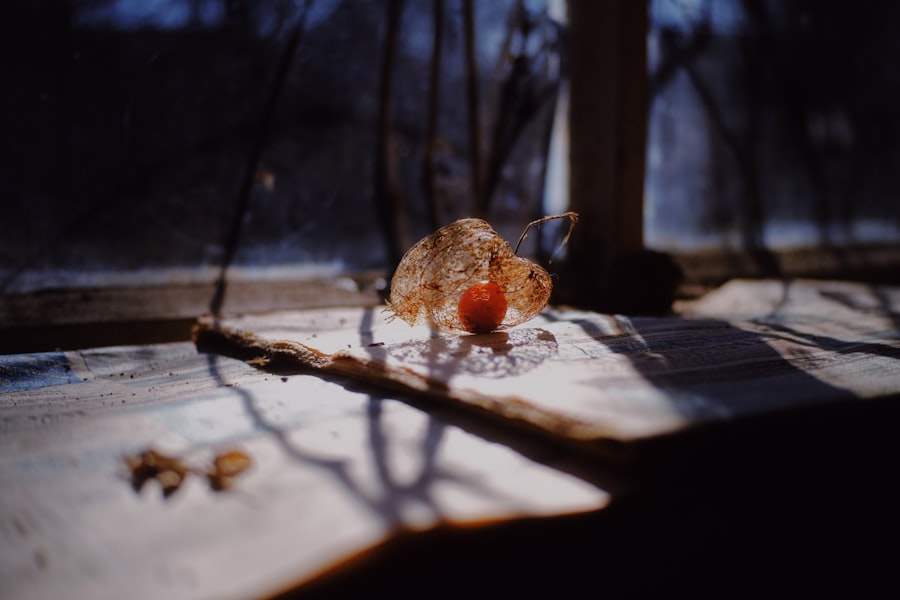 Photo Queen Pomander