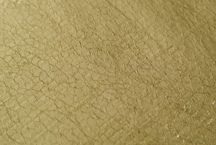 Photo 消脂針