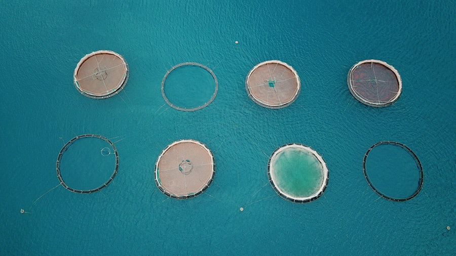 Photo Micro-implantation