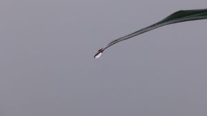 Read more about the article 【療程時機】何時該打針劑：年齡、肌膚狀態與預期管理