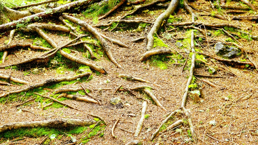 root canal treatment side effects