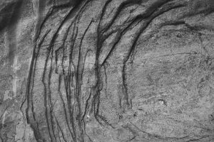 Read more about the article 【根管 治療次數】根管治療次數解析：一次完成還是需分多次治療？