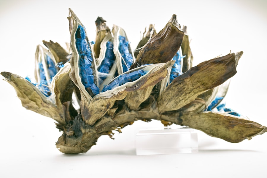 Photo digital porcelain crown