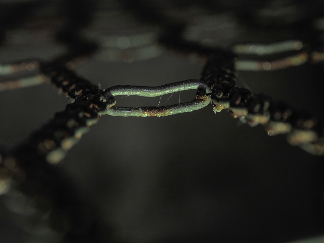 You are currently viewing 【隱視美】 隱視美矯正系統介紹與與其他矯正法比較