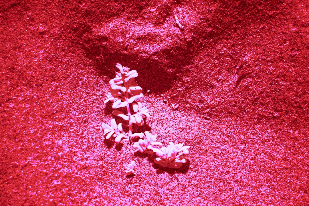 You are currently viewing 打完肉毒多久可以按摩？正確術後保養讓效果更持久