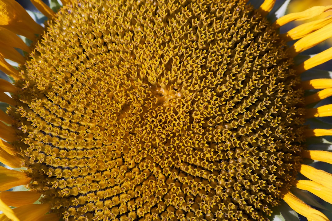 You are currently viewing 蜂巢皮秒透鏡：啟動膠原蛋白新生，改善凹疤與細紋的秘密