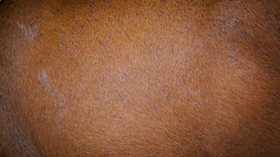 You are currently viewing 肝斑為何難根治？複合式療法：雷射配合口服藥的抗斑策略