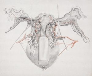 Read more about the article 結構式隆鼻：不僅變高，更修飾鼻型的全方位美鼻術