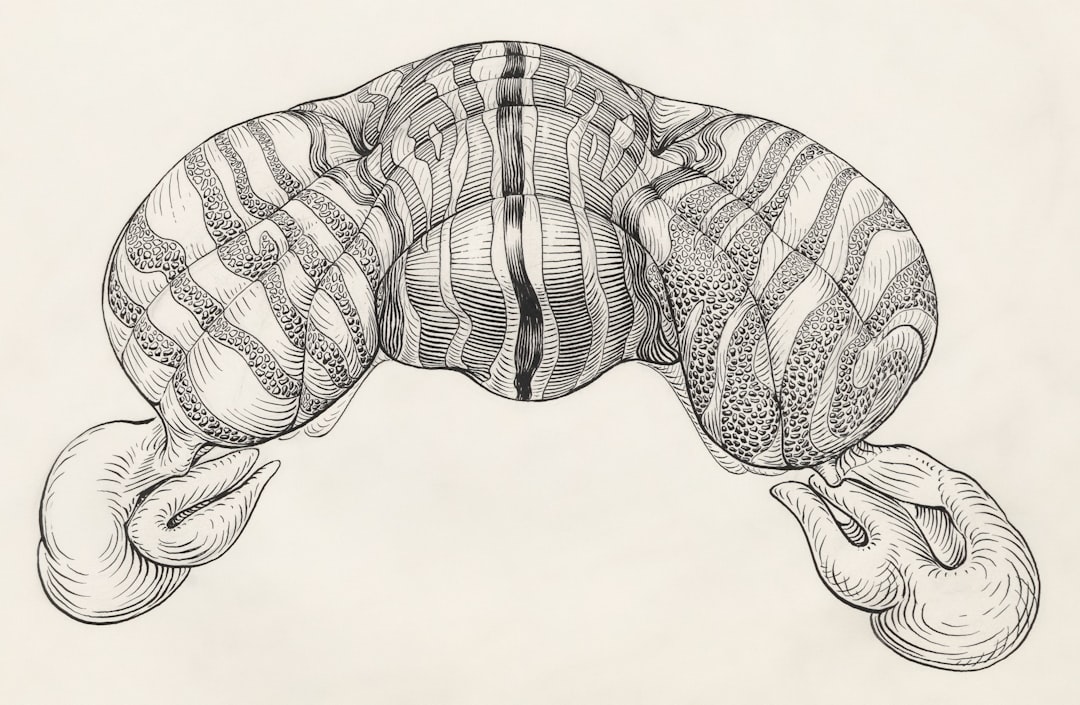 You are currently viewing 駝峰鼻矯正手術：磨平鼻樑骨突起，還原流暢鼻線條