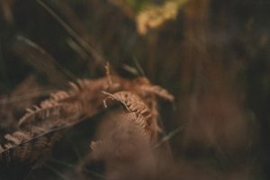 Read more about the article 「做了像沒做」為何成為主流？自然系醫美的設計關鍵